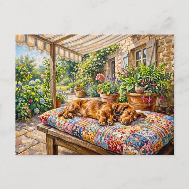 Dachshund ruht auf einer Patchwork-Gartenbank Postkarte (Vorderseite)