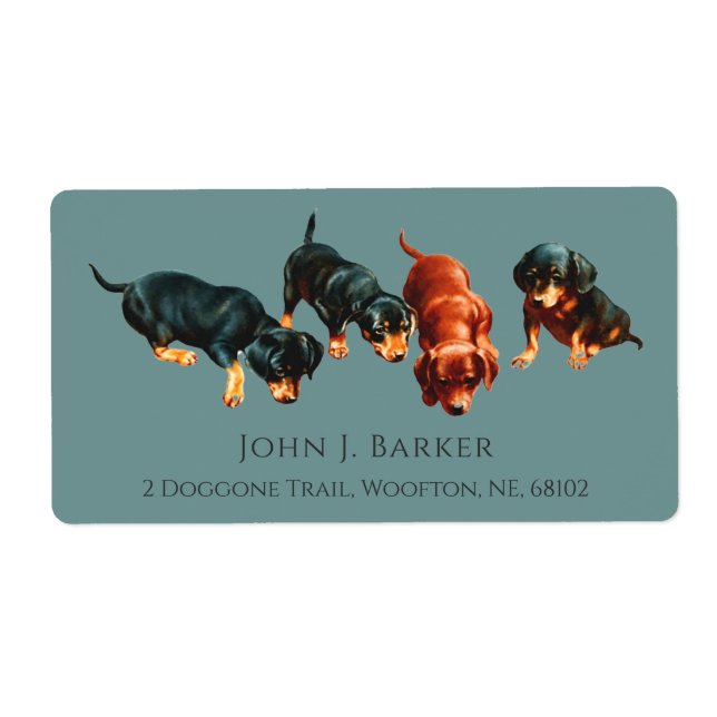 Dachshund Sausage Dog Wiener Puppies Slate Blue (Vorne)