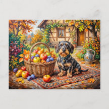 Dachshund sitzt neben Obstkorb Herbstbauernhof