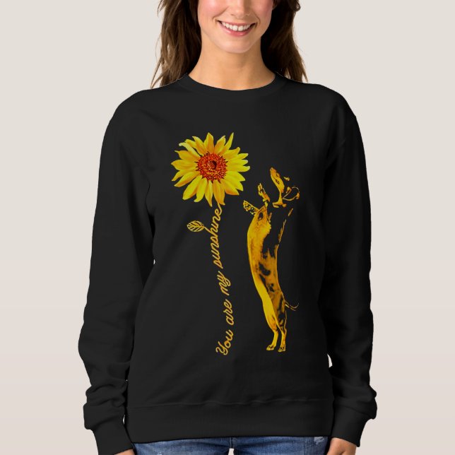 Dachshund Sunshine Funny For Man Woman Sweatshirt (Vorderseite)