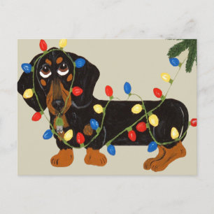 Dachshund Tangled In Christmas Lights Blk/Tan Feiertagspostkarte