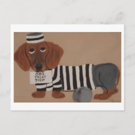 Dachshund Treat Thief Jailbird Postkarte