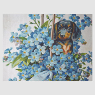 Dachshund und Vergissmeinnicht Seidenpapier