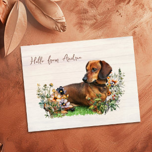 Dachshund unter Wildblumen Hallo von Postkarte