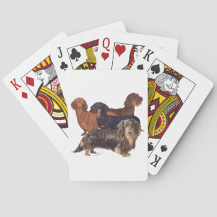 Dachshund-Varietäten Spielkarten
