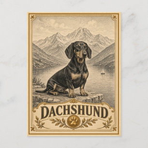 Dachshund, Vintage-Heritage-Hund Postkarte