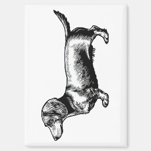 Dachshund-Vintage-Stichillustration Magnet