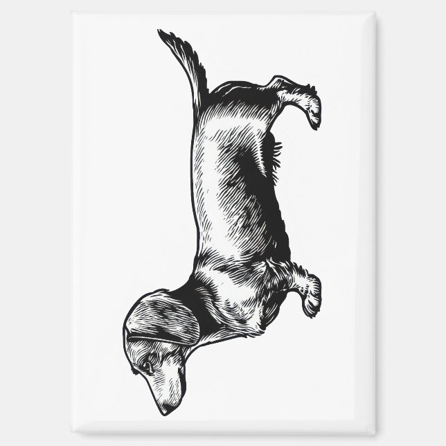 Dachshund-Vintage-Stichillustration Magnet (Vorderseite)