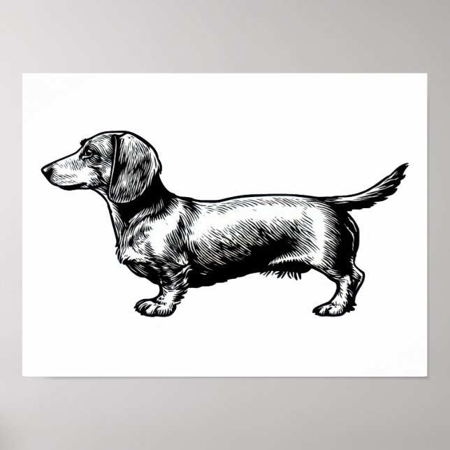 Dachshund-Vintage-Stichillustration Poster (Vorne)