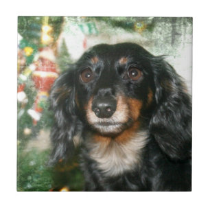 Dachshund Weihnachten Fliese