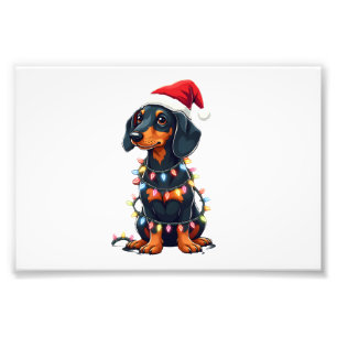 Dachshund Weihnachtslichter Santa Hut Xmas Hunde L Fotodruck