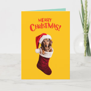 Dachshund-Weihnachtsstrumpf Feiertagskarte