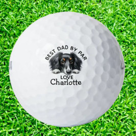 Dachshund-Welpe  Golfball