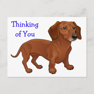 Dachshund-Welpe - Hallo, ich denke an dich, Liebe Postkarte