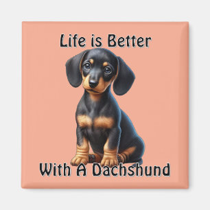 Dachshund-Welpe sitzt und schaut mit unschuldigem Magnet