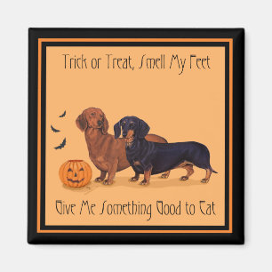 Dachshunde Halloween Magnet