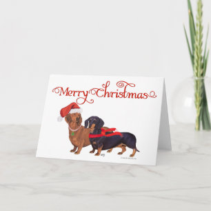 Dachshunde Weihnachten
