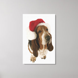 Dachshundjagdhund in der Weihnachtsmannmütze Leinwanddruck