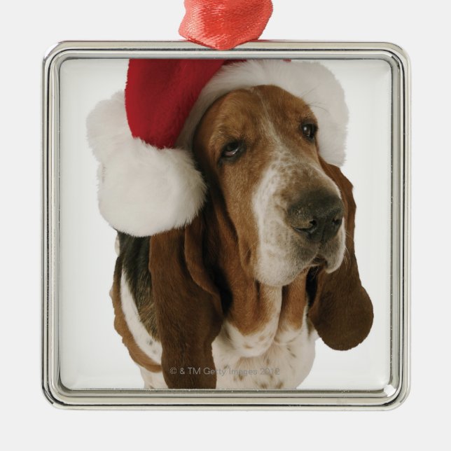 Dachshundjagdhund in der Weihnachtsmannmütze Silbernes Ornament (Vorne)