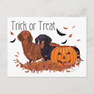 Dachshunds Halloween Postkarte