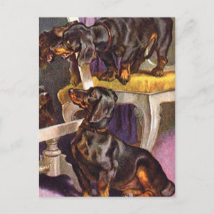 Dachshunds schauen in den Spiegel Vintage Kunst Ge Postkarte