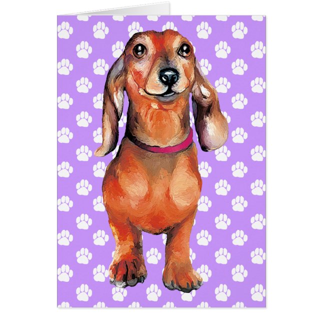 Dachsund Red Dackel (Vorne)