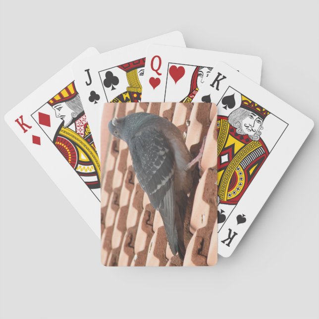 Dachtaube Spielkarten (Rückseite)