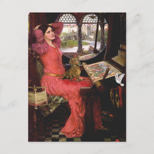 Dackel 1 - Lady of Shalotte Postkarte (Vorderseite)