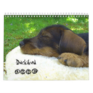 Dackel 2009 - kundengerechter Kalender! Kalender