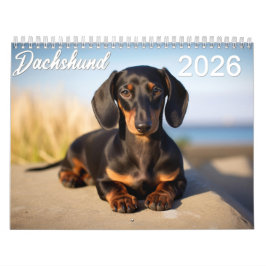 Dackel 2026 kalender