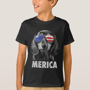 Dackel 4. Juli Merica Men American Flag Sun T-Shirt