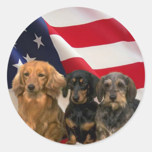 Dackel-Amerika-Aufkleber Runder Aufkleber
