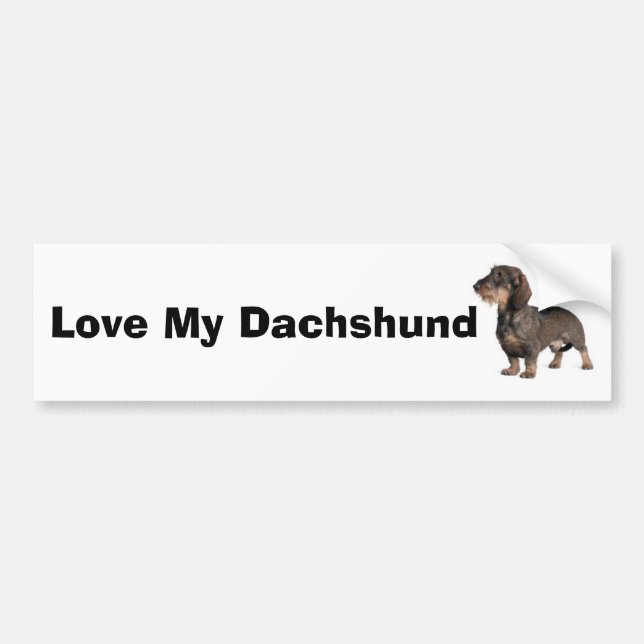 Dackel Autoaufkleber (Vorne)