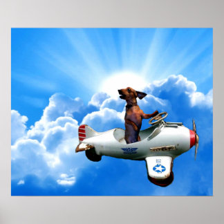 "Dackel Aviator" von Zermeno Poster