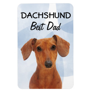 Dackel Best Vater Magnet