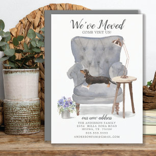 Dackel Black & Tan   Ankündigung der Beförderung