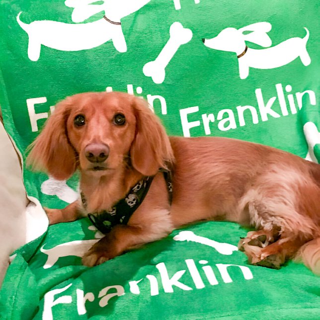 Dackel Blanket Personalisierte Dackel Dog Geschenk Fleecedecke (Green customized wiener dog blanket)