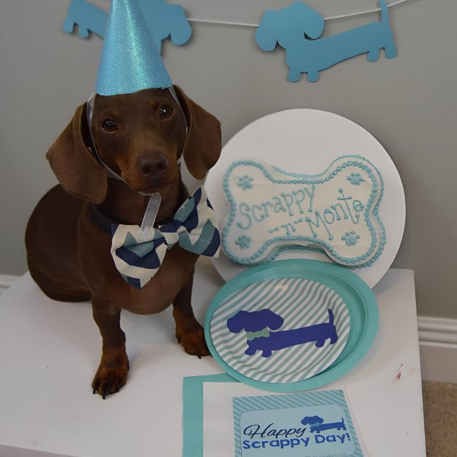 Dackel Blue Dackel Dog Party Paper Teller (Blue Dachshund party paper plates for barkday parties, gotcha day celebrations or birthday fun!)