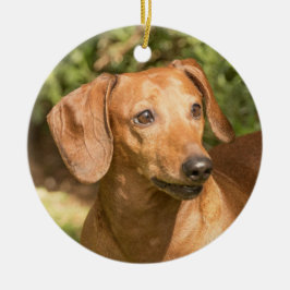 Dackel Dackel Hund Keramik Ornament