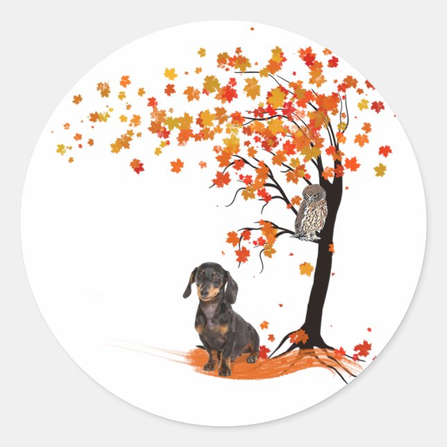 Dackel Dackel im Herbst und Herbst Runder Aufkleber (Vorderseite)