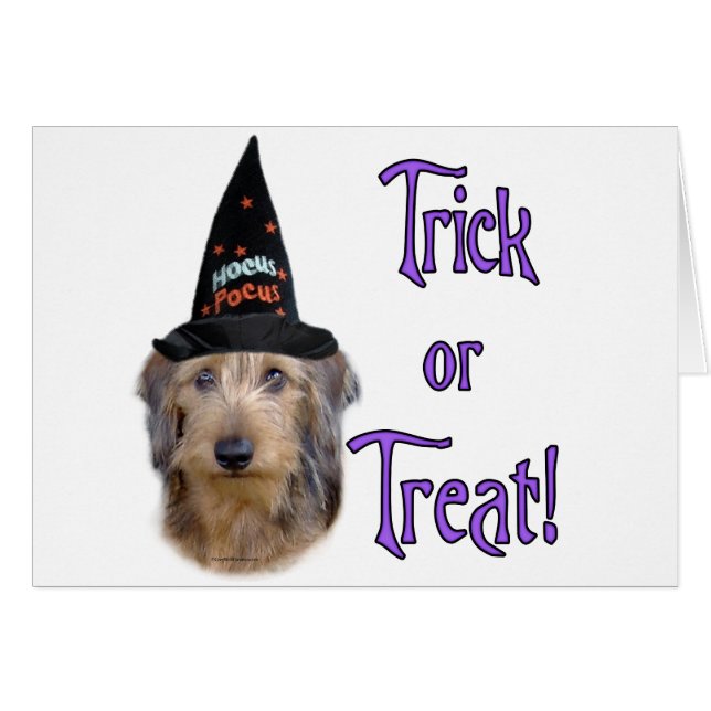 Dackel (Draht) (Vorderseite (Horizontal))