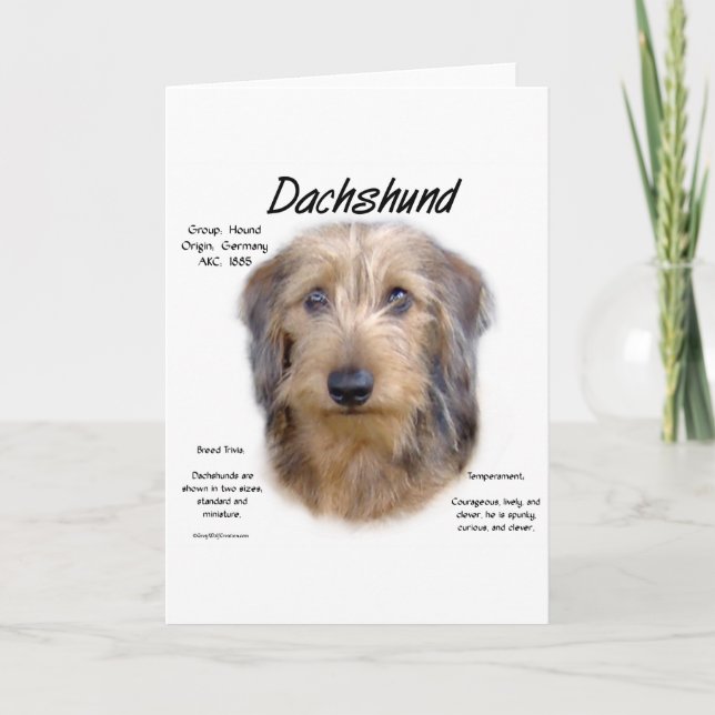 Dackel (Drahthaarterrier) Historisches Design Feiertagskarte (Vorderseite)