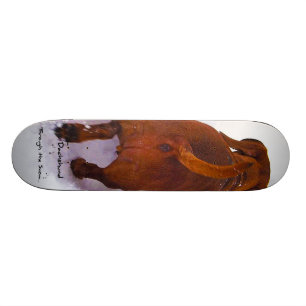 Dackel durch den Schnee, der durch den Schnee Skateboard
