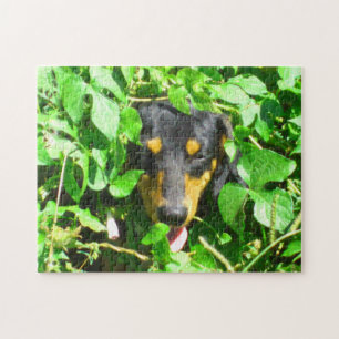 Dackel durch die Blätter Puzzle