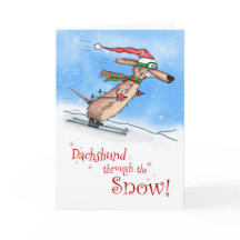 Dackel durch die schneefreudige Weihnachtszeit