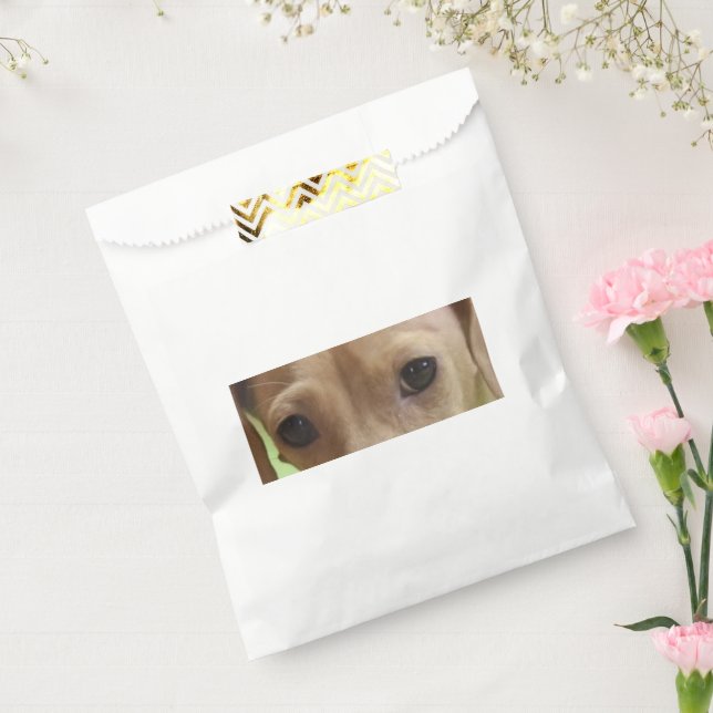 Dackel Eyes Creme Geschenktütchen (Versiegelt)