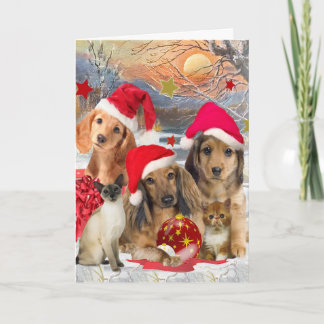 Dackel Frohe Weihnachtskarten Feiertagskarte