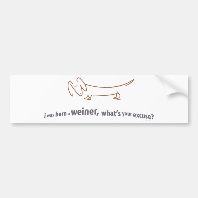 Dackel. Geborener Weiner! Autoaufkleber (Vorne)