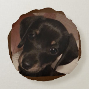 Dackel gebürstetes rundes Throw-Polykissen (16") Rundes Kissen