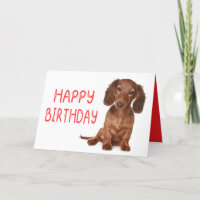 Dackel Geburtstag Funny Dackel Dog Dashie Bday